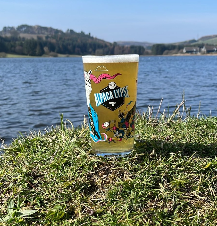 Salt Brewery Alpaca Lypse